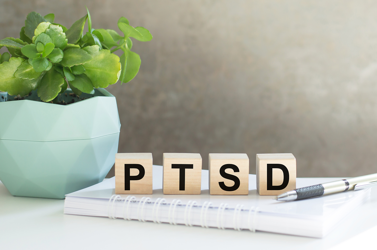 Long Term Care with PTSD